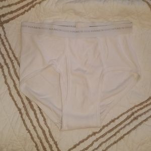 Hanes brief